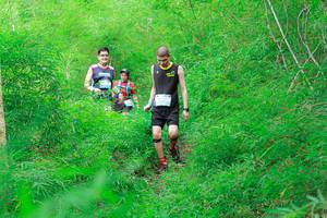 BIB: 
                            <button type="button" onclick="openModal(22094904)" class="btn btn-primary btn-sm float-right btn-popup" data-toggle="modal" data-target=".modal-high-quality">
                        <i class="fas fa-shopping-cart"></i> Add to Cart
                    </button>
                                            <button type="button" onclick="isThisMe(22094904, true)" class="btn btn-success btn-sm float-right btn-popup btn-isme hidden" data-toggle="tooltip" data-placement="bottom" title="นี่คือรูปของคุณใช่ไหม คลิกที่นี่เพื่อเอาเข้าอัลบั้ม">
                        <i class="fas fa-plus"></i> Add to album
                    </button>
                    <button type="button" onclick="isThisMe(22094904, false)" class="btn btn-warning btn-sm float-right btn-popup btn-isnotme hidden">
                        <i class="fas fa-ban"></i> Remove from album
                    </button>